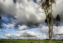 开云体育:姆巴佩专访(下):我想再次世界杯夺冠;PSG没我更好?不关心.