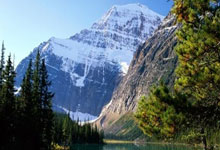 网球——墨西哥公开赛:福基纳晋级决赛.