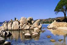 差一点!多库突入禁区内横传门前,特罗萨德倒地铲射稍稍偏出球门.